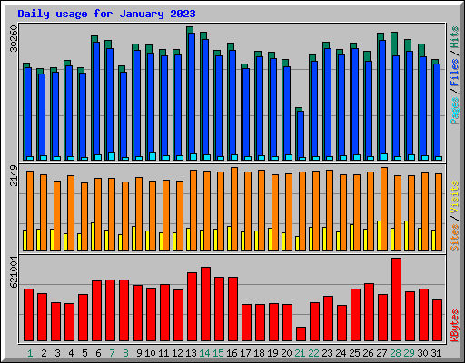 Daily usage for January 2023