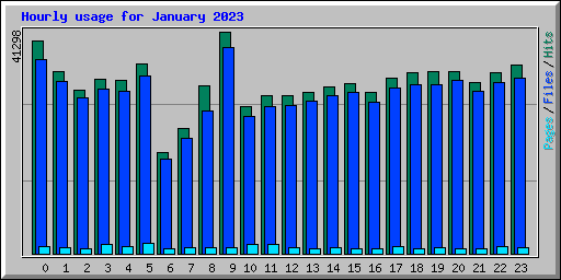 Hourly usage for January 2023