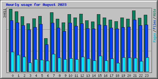 Hourly usage for August 2023
