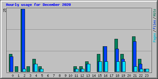 Hourly usage for December 2020