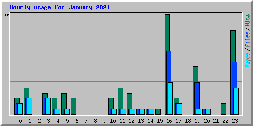 Hourly usage for January 2021