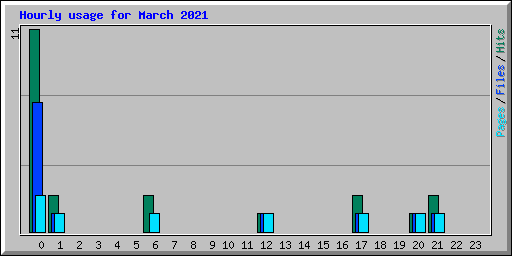 Hourly usage for March 2021