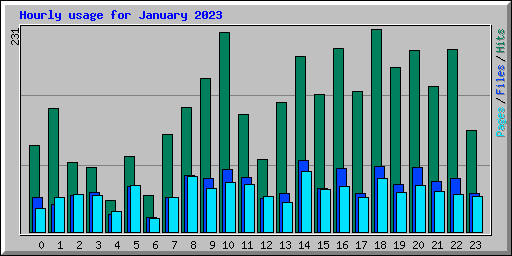 Hourly usage for January 2023