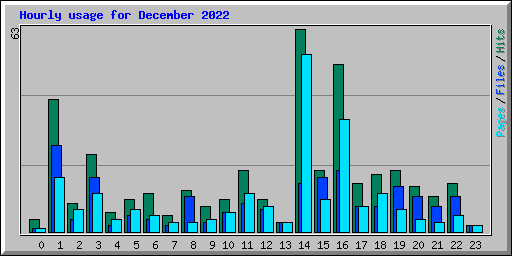 Hourly usage for December 2022