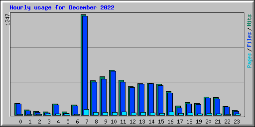 Hourly usage for December 2022