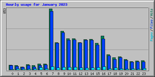 Hourly usage for January 2023