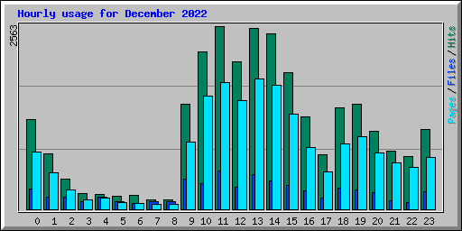 Hourly usage for December 2022