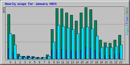 Hourly usage for January 2023