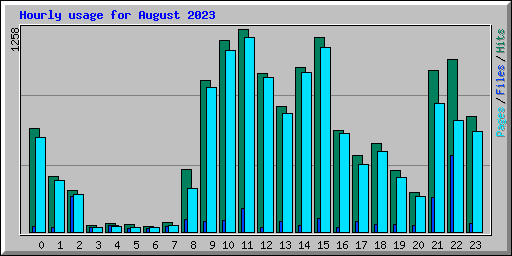 Hourly usage for August 2023